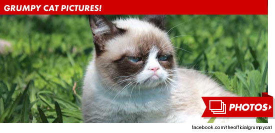 0308_grumpy_cat_photos_footer