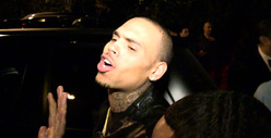 Chris Brown -- I Don't Really Own Rihanna's Lady Parts ... 'It's Just a Song'