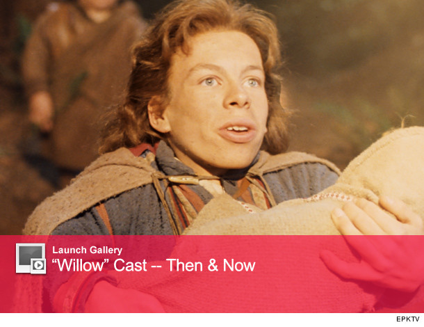 0312_willow_launch
