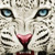 Commenter's Avatar