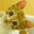 Commenter's Avatar