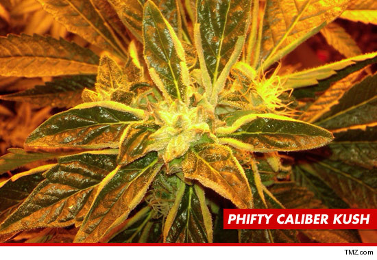 0318_flesh_weed