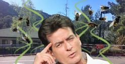 Poop Companies Side with School In Charlie Sheen Feud