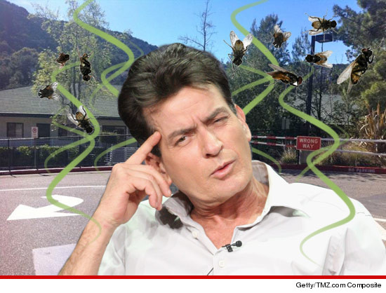 0319-charlie-sheen-stink