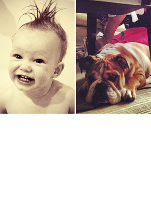 This Week's Best Celebrity TwitPics!