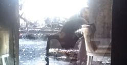 Ashley Greene Condo Fire -- Candle Triggered Blaze