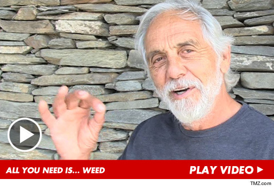 032423_tommy_chong_launch