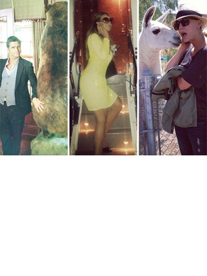 This Week's Best Celebrity TwitPics!