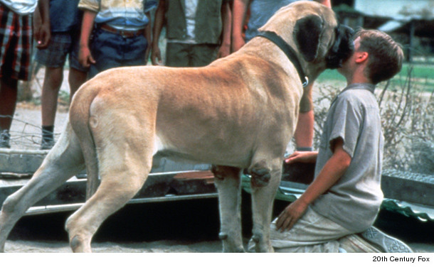 what of is in the sandlot quot the sandlot quot reflects on 20 years later toofab what of is in the sandlot quot the sandlot quot reflects on 20 years later toofab