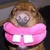 Commenter's Avatar