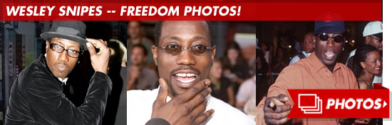 0405_wesley_snipes_footer