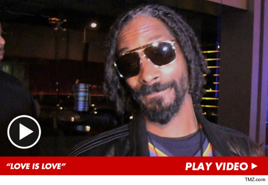 040713_snoop_gay_marriage_launch_v2