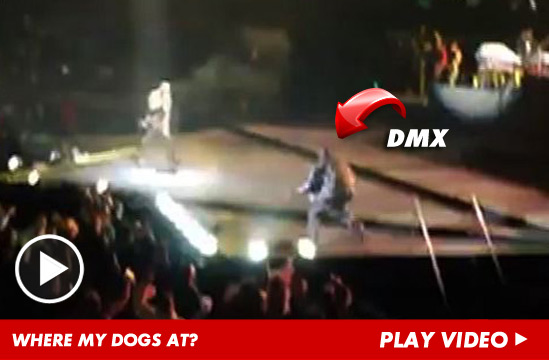 041213_dmx_launch