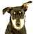 Commenter's Avatar