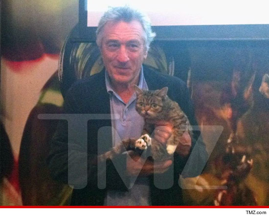 0423-robert-de-niro-lil-bub-tmz