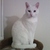 Commenter's Avatar