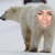 Commenter's Avatar