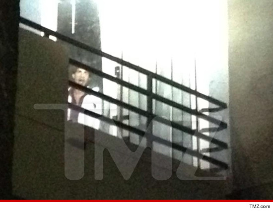 0508-scarface-hollywood-tmz
