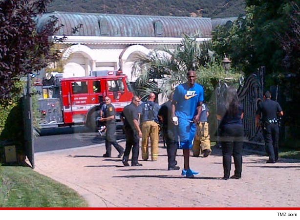 0510_lamar_odom_swatting_tmz_article
