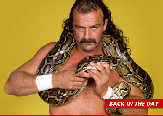 0514-jake-roberts-snake
