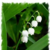Commenter's Avatar