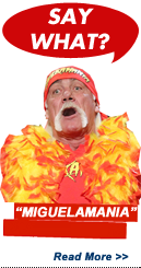 Say What?!: Hulk Hogan