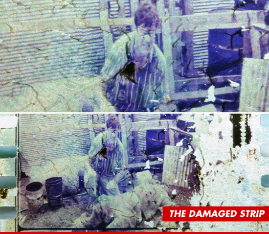 0531-dan-aykroyd-tmz-damaged