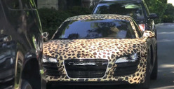 Justin Bieber -- A Leopard (Audi) Can't Change Its Spots