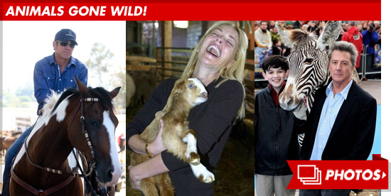 0612_animals_gone_wild_footer