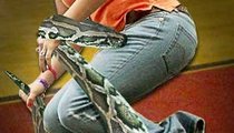 Student Whips Out Snake, Plays With It 