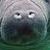 Commenter's Avatar