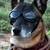 Commenter's Avatar