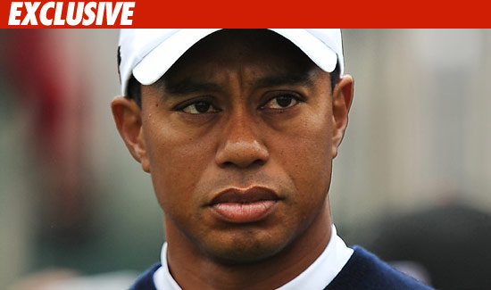 0615-tiger-ex-getty-01