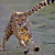 Commenter's Avatar