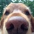 Commenter's Avatar