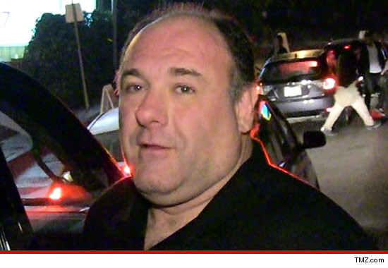 0619_james_gandolfini_article_tmz_2