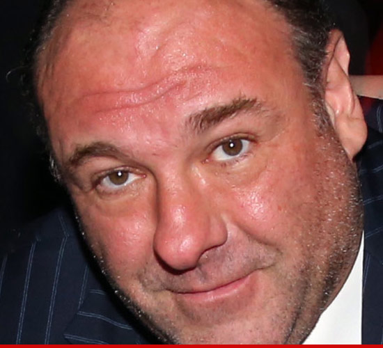 0619_james_gandolfini_died_death_Article