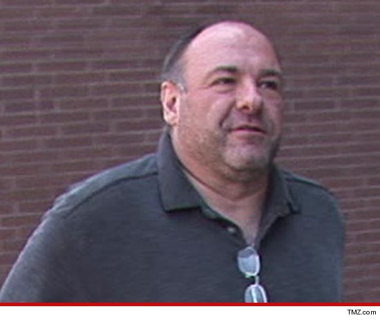0619-tmz-james-gandolfini