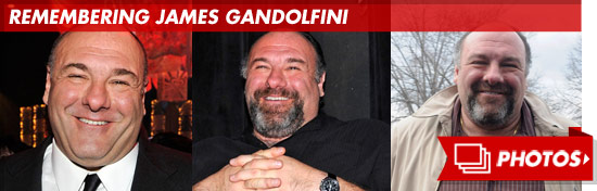 0620_remembering_james_gandolfini_footer