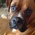 Commenter's Avatar