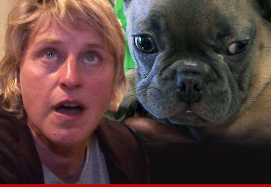 0709_ellen_with_dog