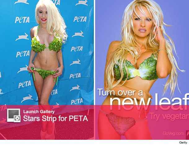 0731_peta_launch