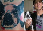 'Big Time Rush' Star Kendall Schmidt -- Check Out My Sissy Tattoo