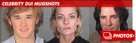 0813_CELEBRITY_dui_mugshots_footer_v3