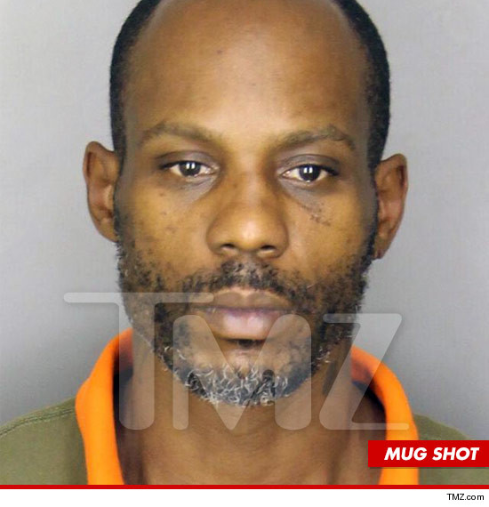 0821-dmx-mug-shot