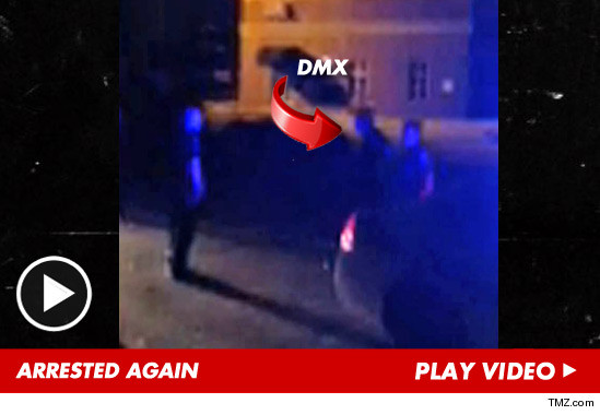 082113_dmx_arrest_launch