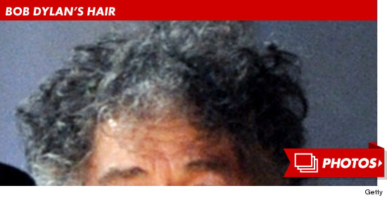 0822_bob_dylan_hair_footer