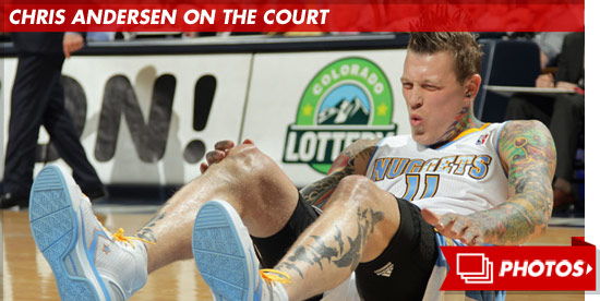 0919_chris_andersen_court_footer