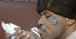 Mike Tyson Conspiracy -- The Government's Killing Our Pigeons!