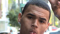 Chris Brown -- ARRESTED For FELONY Assault 